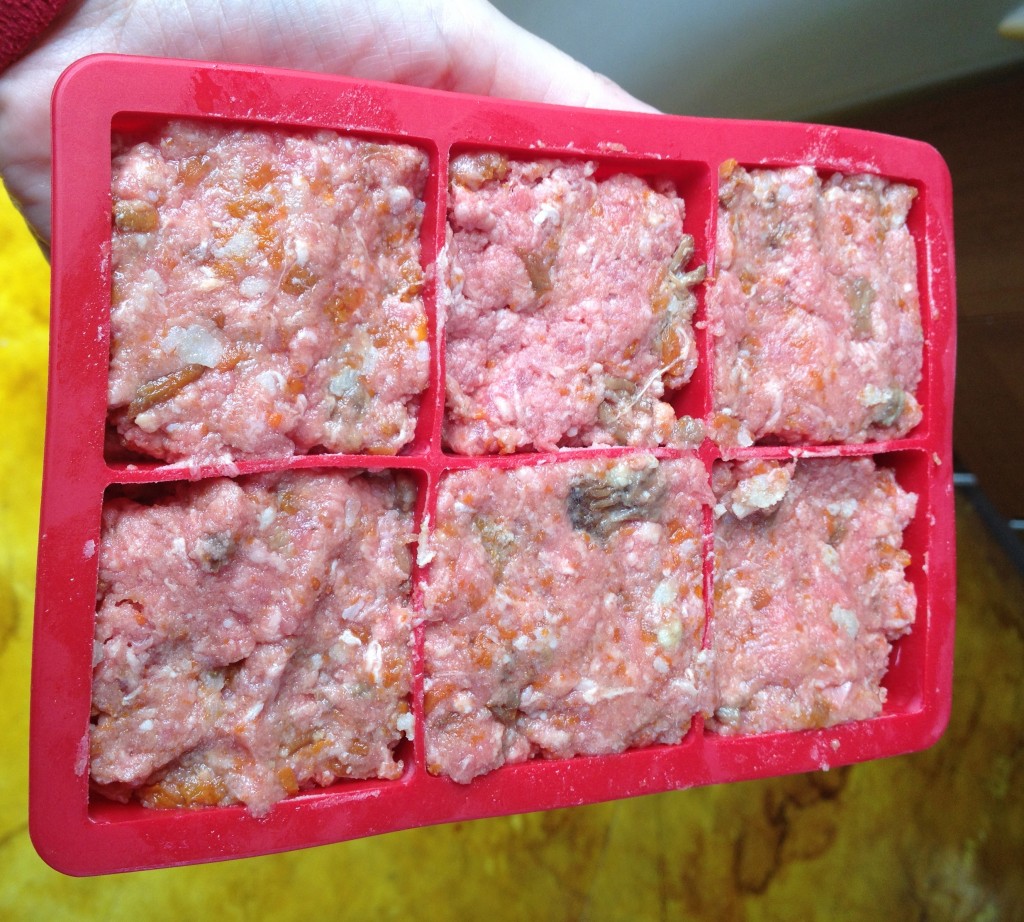 Picture of Paleo dog food recipe & natural health tips | Paleo Kitchen Lab