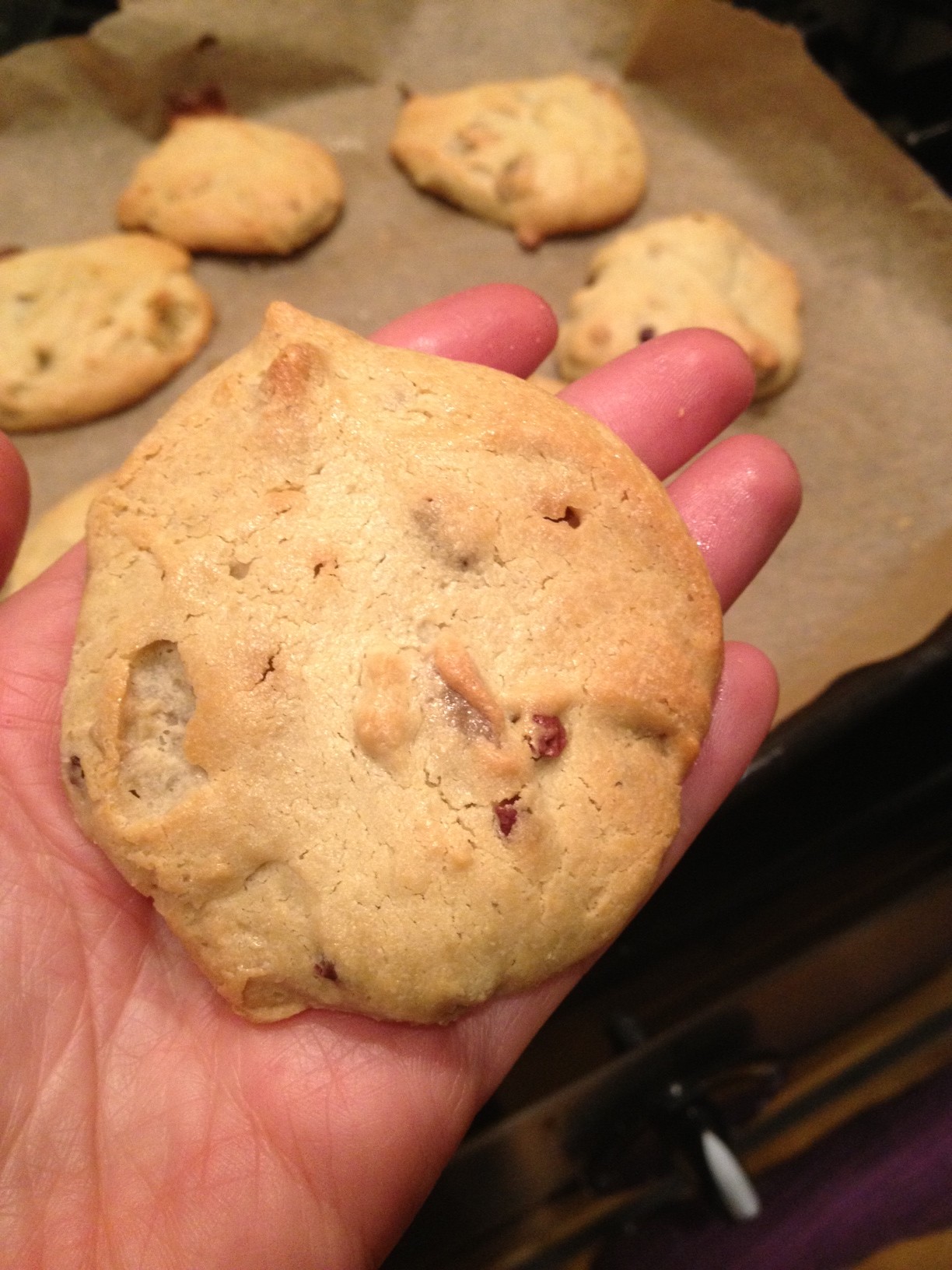 Flourless cashew cookies | Paleo Kitchen Lab